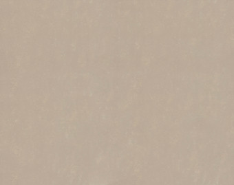 [100111113_19] Marmoleum Concrete - 3708/370835 fossil